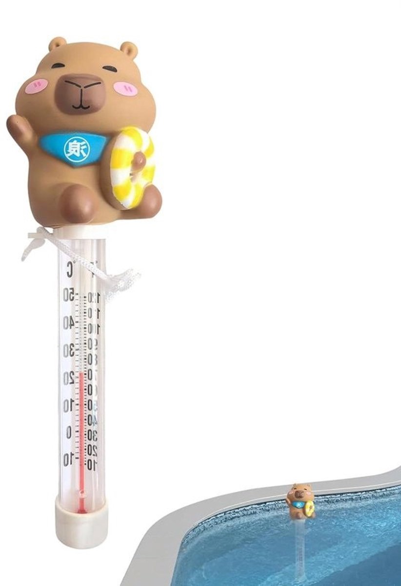 Watermeter - Watertemperatuurmeter - Zwembad Temperatuur Controleren - Makkelijk Afleesbaar - 23 x 7 x 6 cm - Veelkleurig