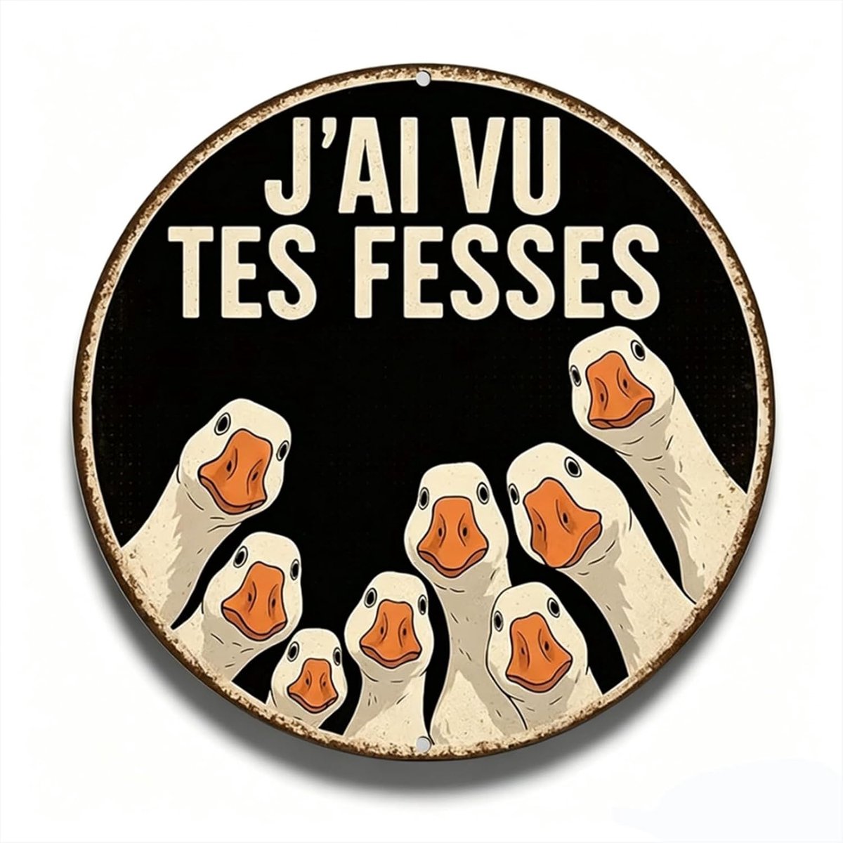 Rond Stalen Bord 20cm – Franse Uitdrukking "J'ai vu tes fesses" met Gans Motief, Retro Stalen Bord voor Toilet, Tuin, Bar & Geschenk