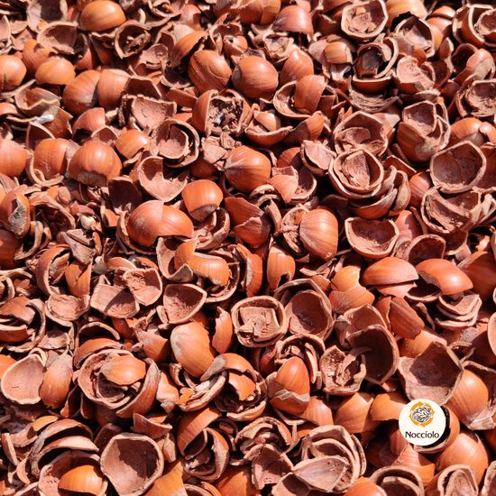 Close-up van talrijke bruine, lege hazelnootdoppen, met Nocciolo-logo in de hoek.