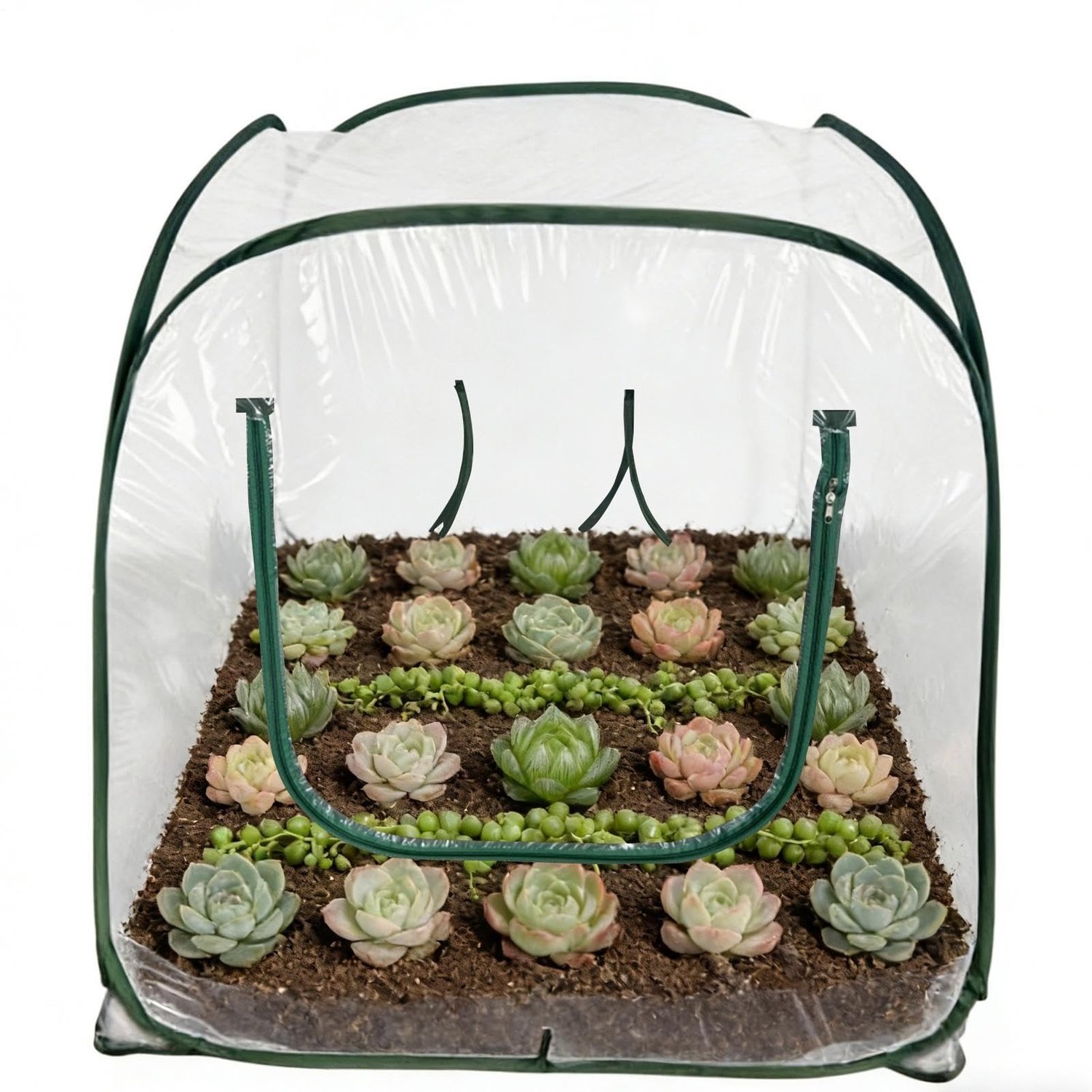 Famanu – Doorzichtige opvouwbare mini plantenkas, multifunctioneel voor seizoensbescherming