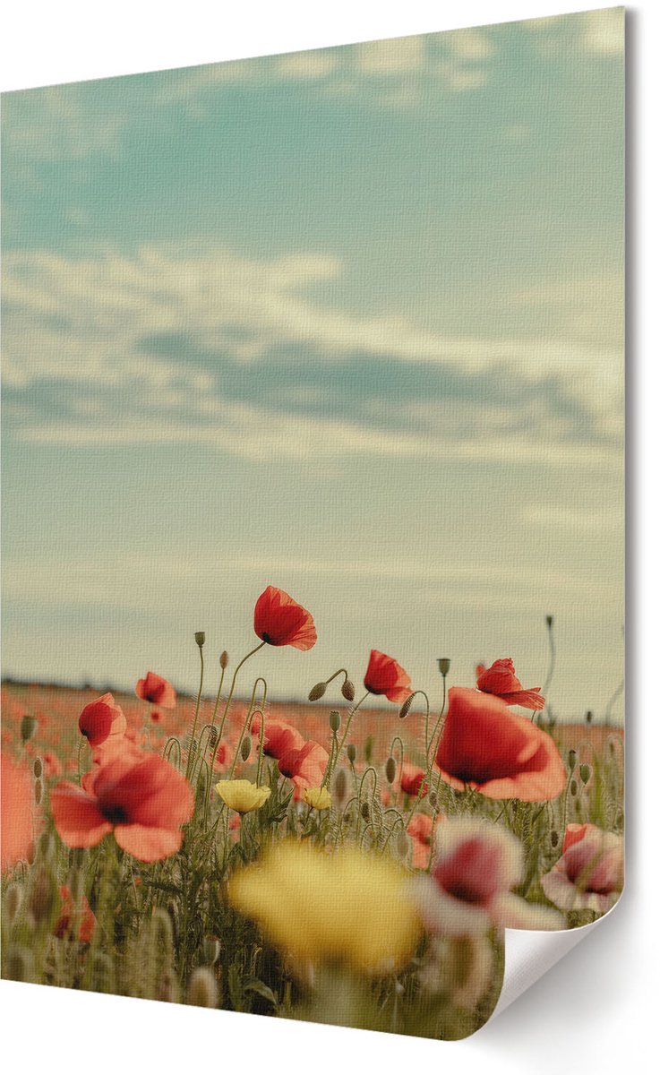 Coloray Polycanvas Wandposter - Boslandschap, Groente - A3 - Zwart-wit Decoratie - Rechthoek - Interieurdecoratie - Kantoor - Klassiek