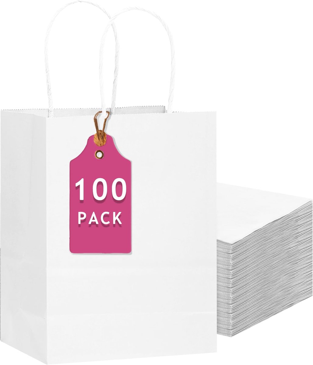 Geschenkzakjes 100 stuks - groot formaat 33 x 26 x 13 cm - papieren zakken - ideaal voor cadeaus - ShopVlot