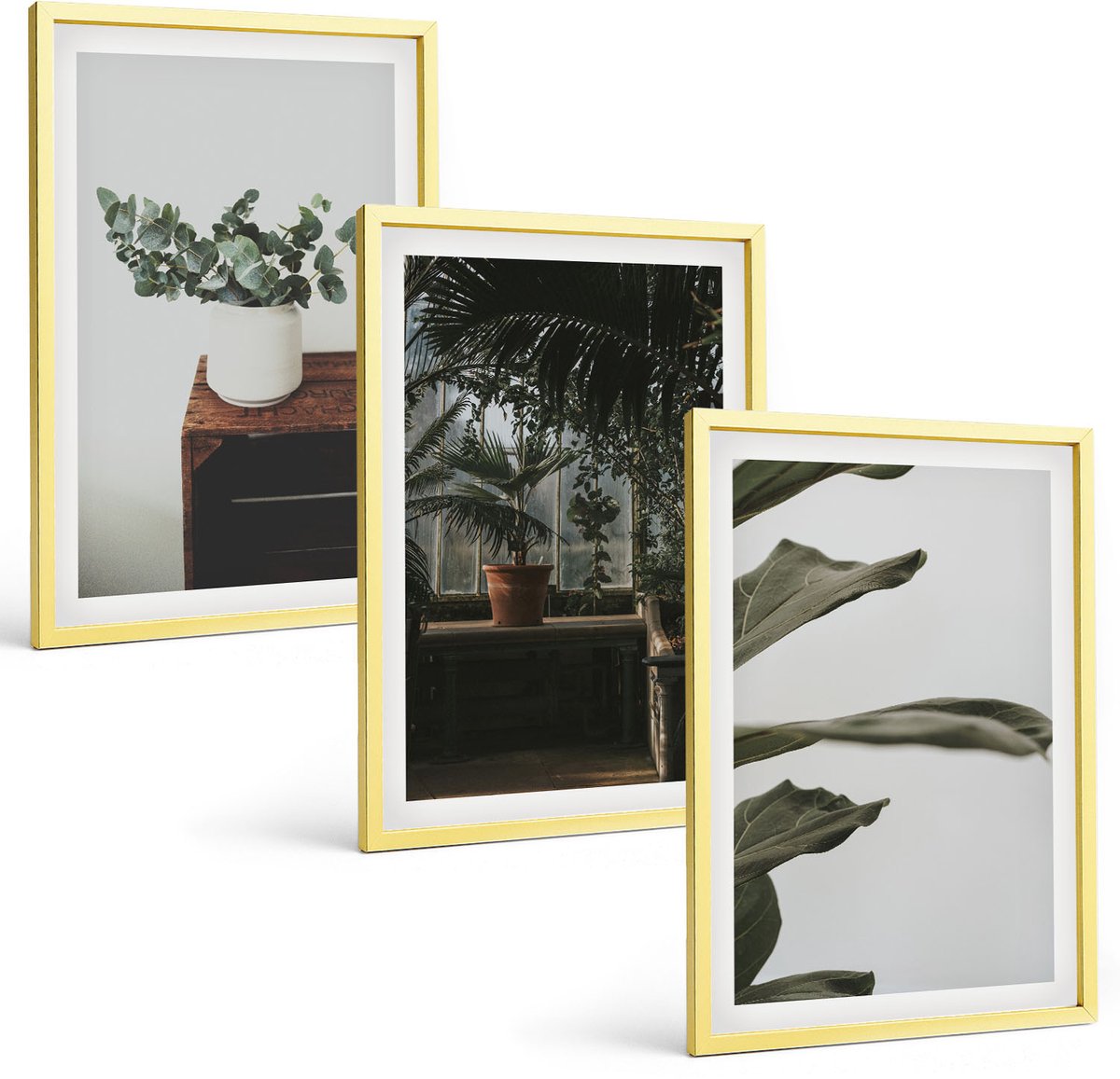 Coloray 3-Delige Schilderij Set - Rustieke Bladeren Potplanten - 40 x 40 cm En 40 x 60 cm - Schilderijen Set - Wanddecoratie - Woonkamer - Interieur Decoratie