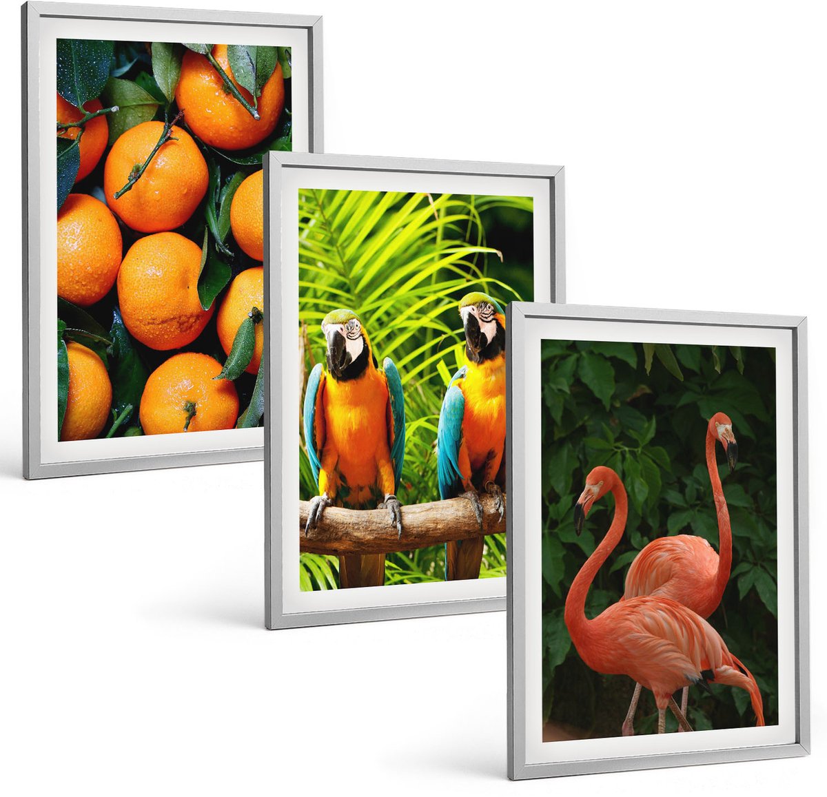 Coloray 3-Delige Schilderij Set - Fruitige Accenten Met Papegaaien En Flamingo'S In De Tropen - 40 x 60 cm - Schilderijen Set - Wanddecoratie - Woonkamer - Interieur Decoratie Zilveren lijst