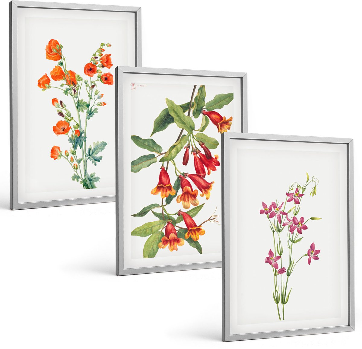Coloray 3-Delige Schilderij Set - Vintage Retro Bloemenschilderij - 40 x 60 cm - Wanddecoratie - Schilderijen Set - Kantoor - Muurdecoratie