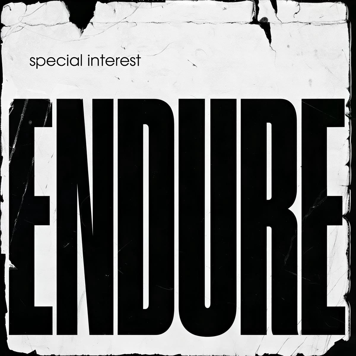 Special Interest - Endure (LP)