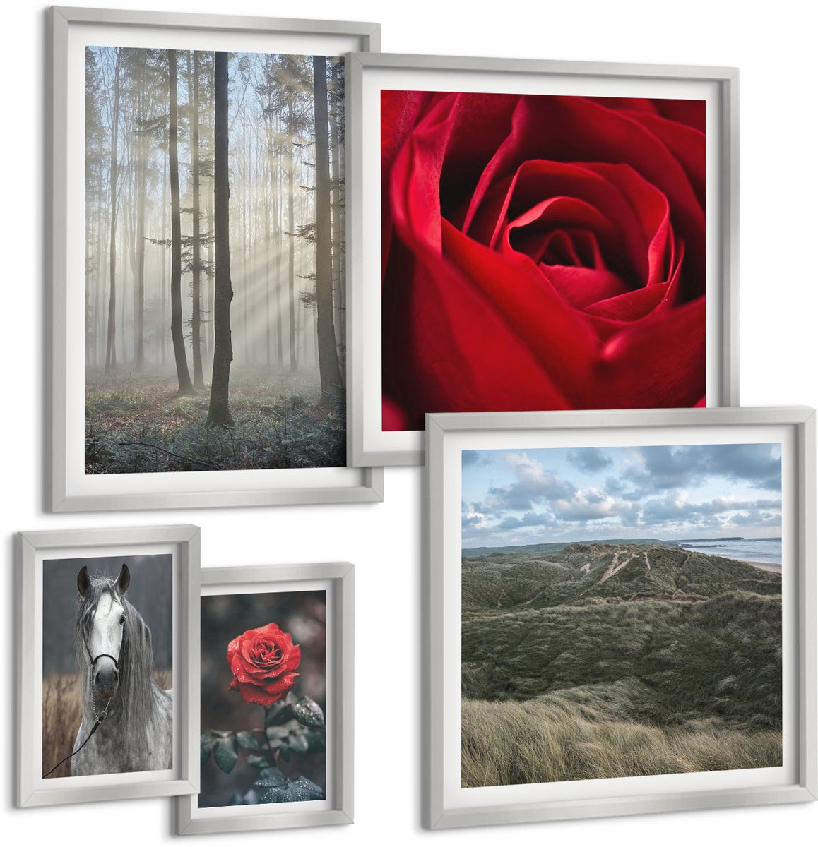 Coloray 5-Delige Schilderij Set - Rode Rozen En Een Paard In Een Grijze Omgeving - 20 x 30 cm - Wanddecoratie - Schilderijen Set - Kantoor - Woonkamer Decoratie