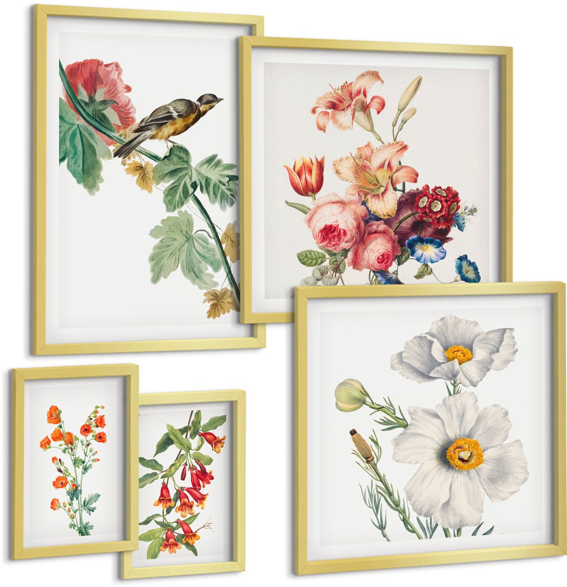 Coloray 5-Delige Schilderij Set - Vintage Bloemen- En Vogelmotieven Voor Huisdecoratie - 50 x 50 cm, 20 x 30 cm En 40 x 60 cm - Moderne Wanddecoratie - Slaapkamer - Interieur Decoratie