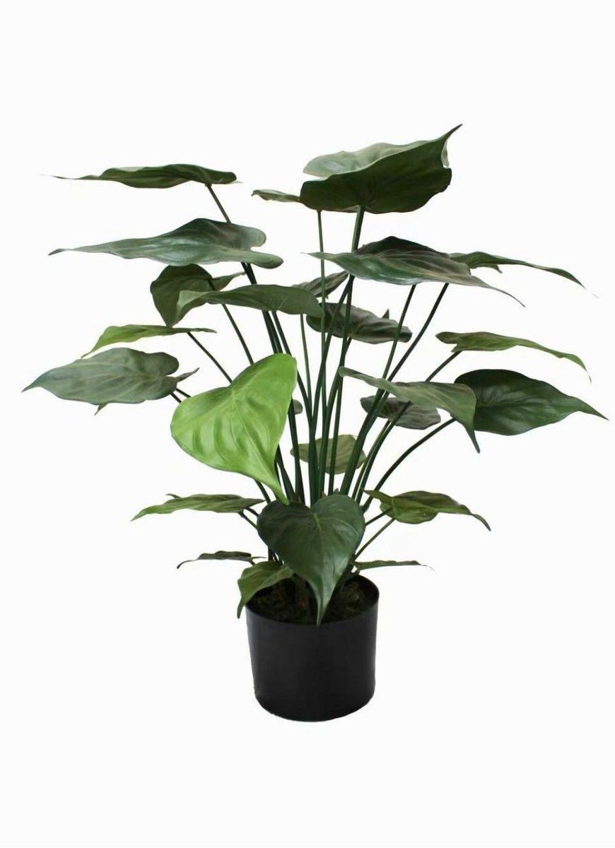 Alocasia Kunstplant 70cm
