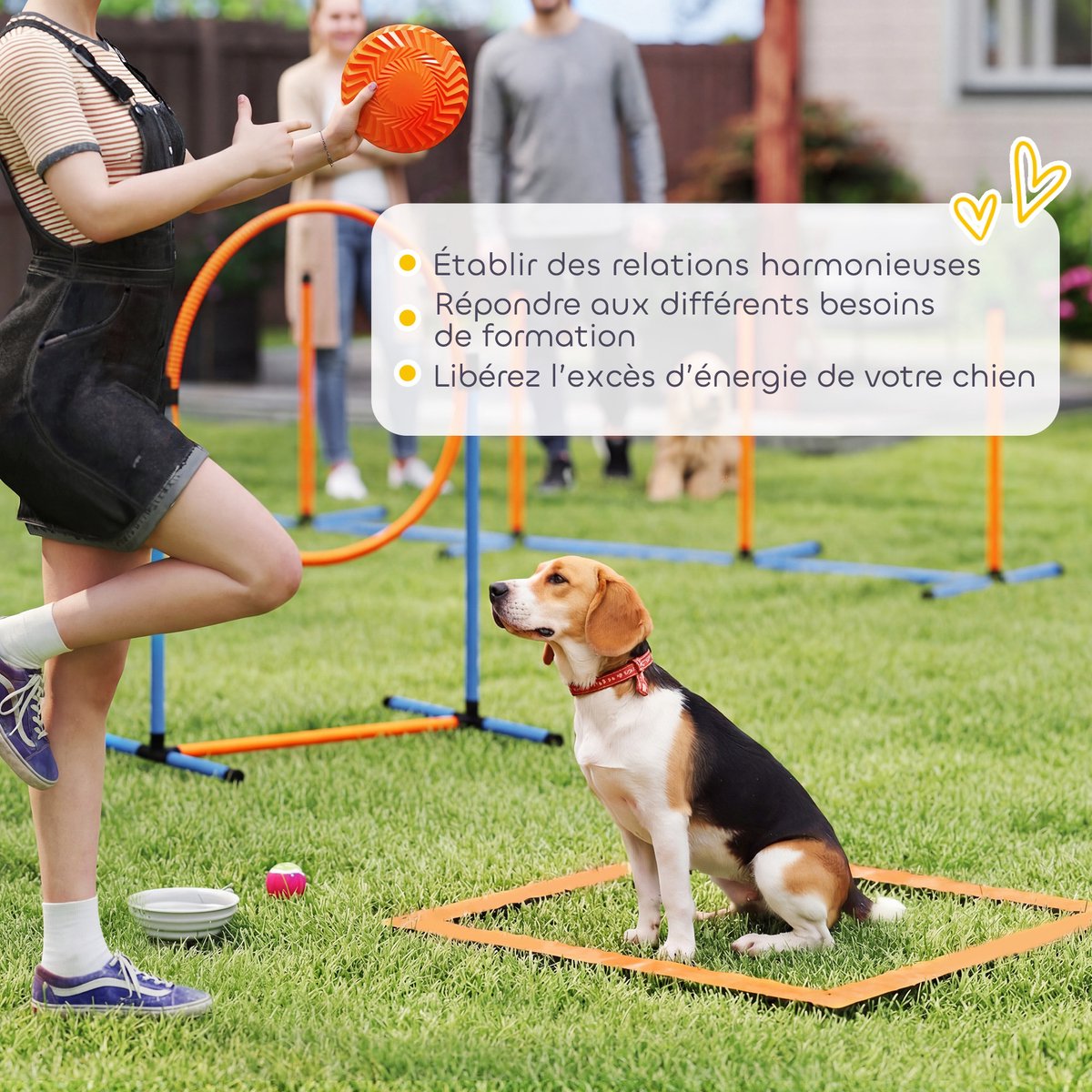 PawHut-Pet Agility Set-PE, Oxford-stof-350 x 68 x 70 cm-Oranje