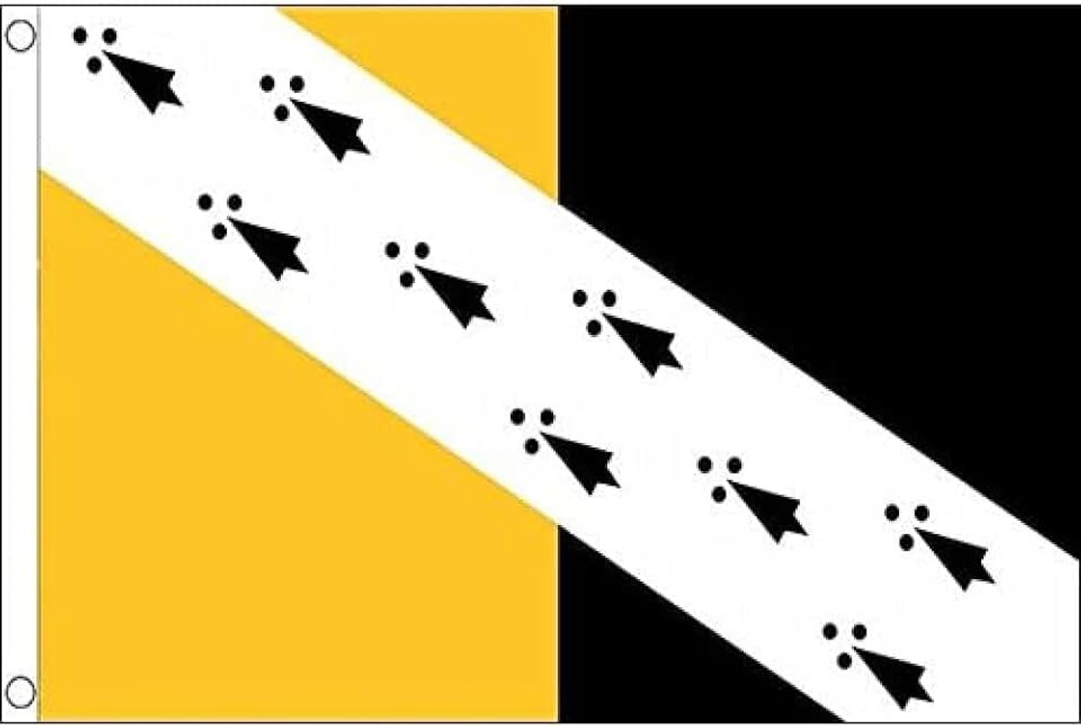 Norfolk County New Flag - 3x5 Ft - 100D Polyester County Of Norfolk - England Banner with Two Metal Grommets - Fade Resistant - Vivid Colors - 3' x 5' Feet - 150x90 Cm