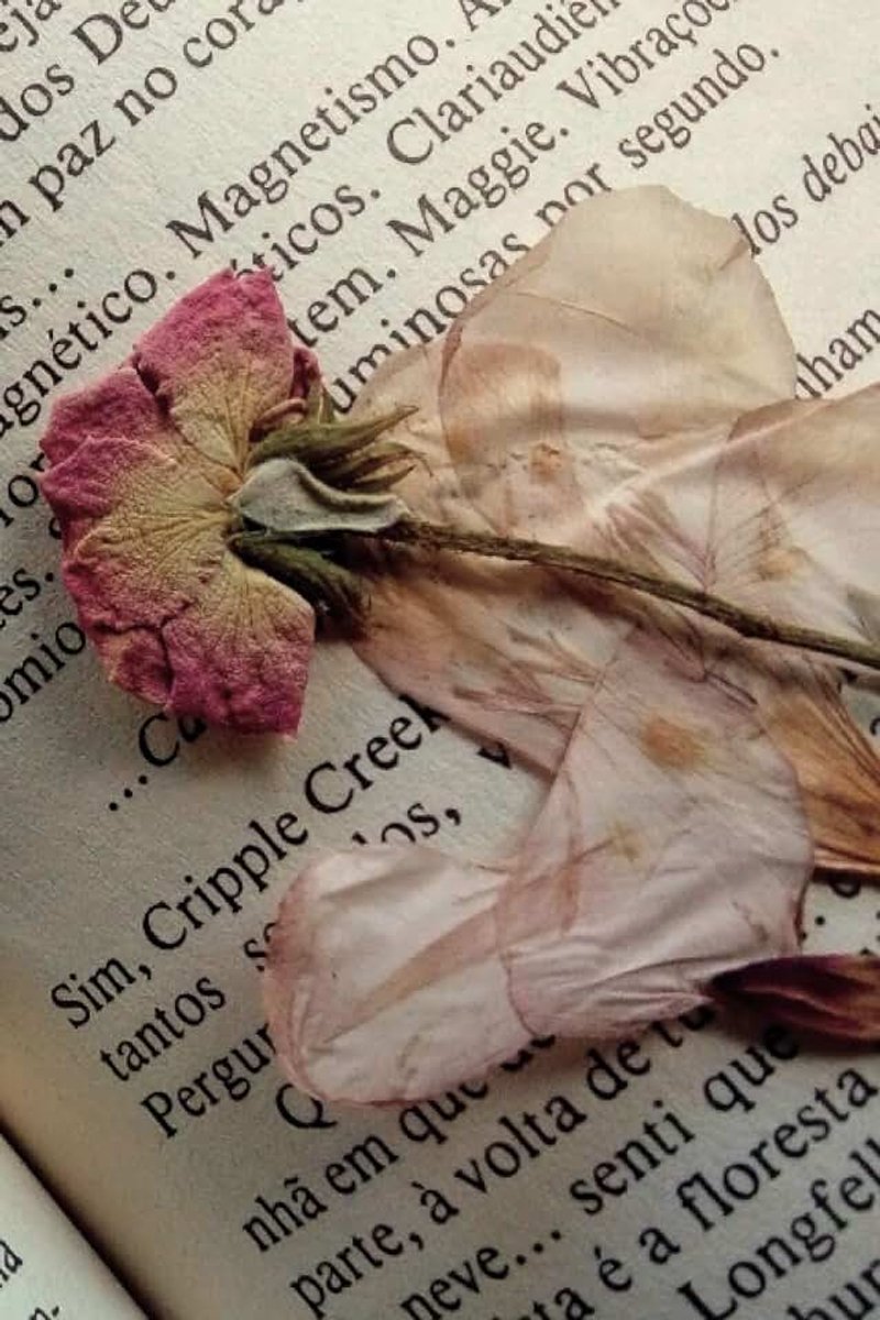 Pressed Flowers Notebook