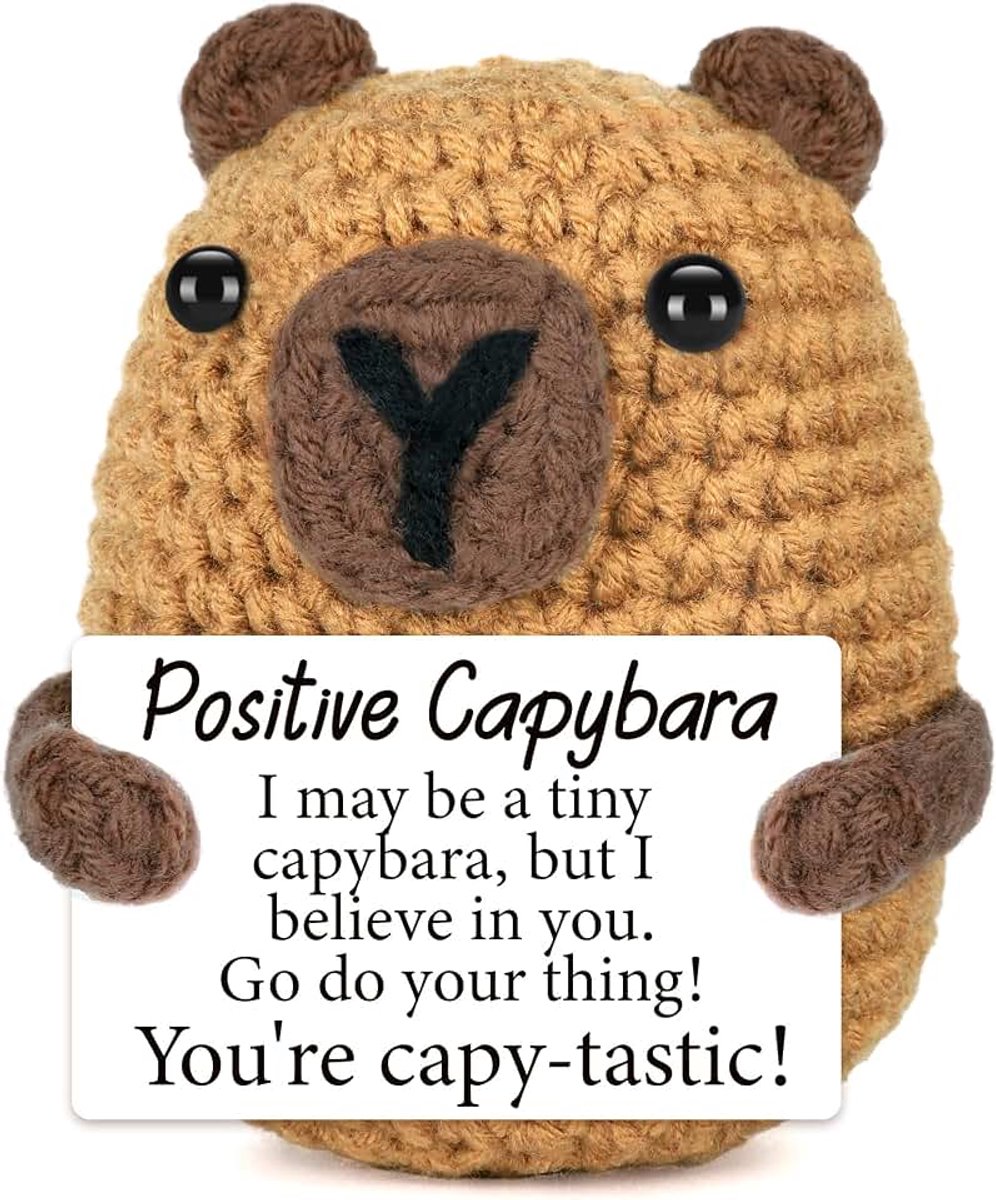 Hug Mutmacher Geschenk Capybara Haakdier, Positieve Geschenken, Emotionele Ondersteuning Dier Luiaard Alternatief, Afscheidsgeschenk Collega's