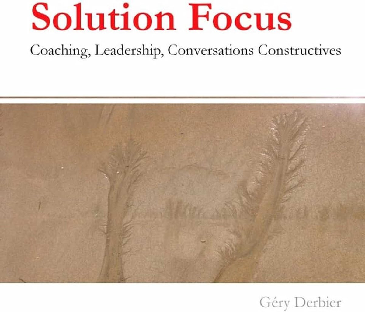 Focus : coaching, leadership, conversations constructives