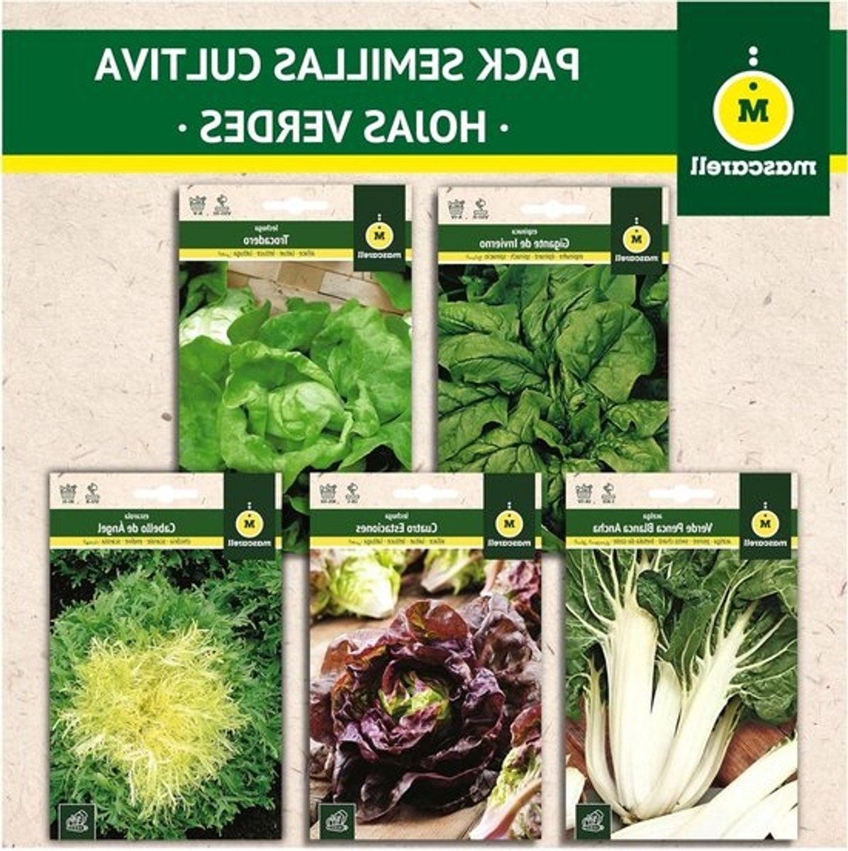 Zaden Mascarell PAKKET - Groene bladeren - Snijbiet, Spinazie, Sla, 2 soorten sla & andijvie 75 gram