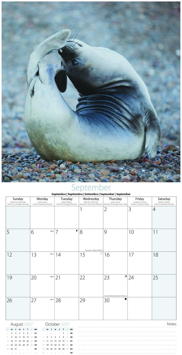 Yoga Animals Kalender 2027