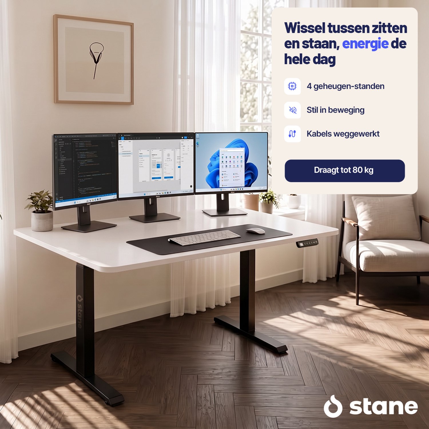 Stane Stane Elektrisch Verstelbaar Zit-Sta Bureau - afbeelding 3