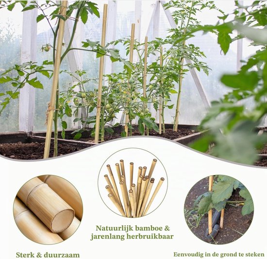 20 Stuks Bamboe Plantsteunen met Verweven Touwen voor Klimplanten, Tomaten en Tuinondersteuning (45 cm) — afbeelding 4
