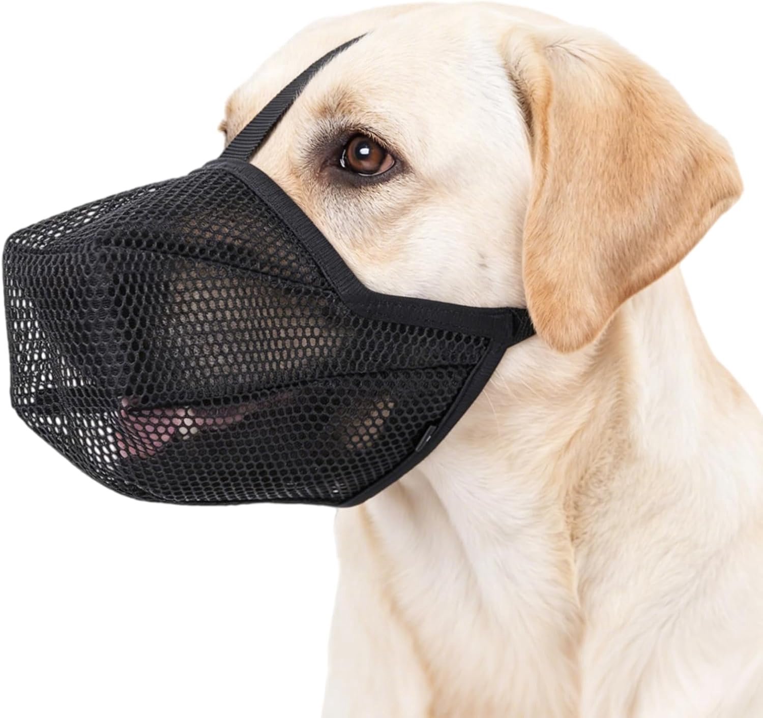 Muilkorf voor honden, verstelbaar, maat L