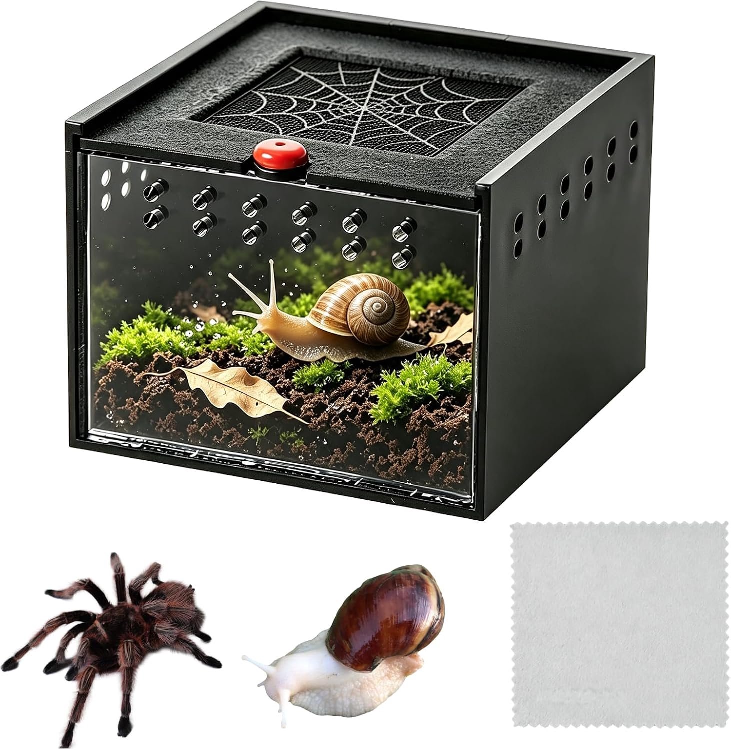 Huis voor landschildpadden 9x8,5x6,5cm - acryl transparant - met schuifsluiting - veilig observeren - ServiceTopper