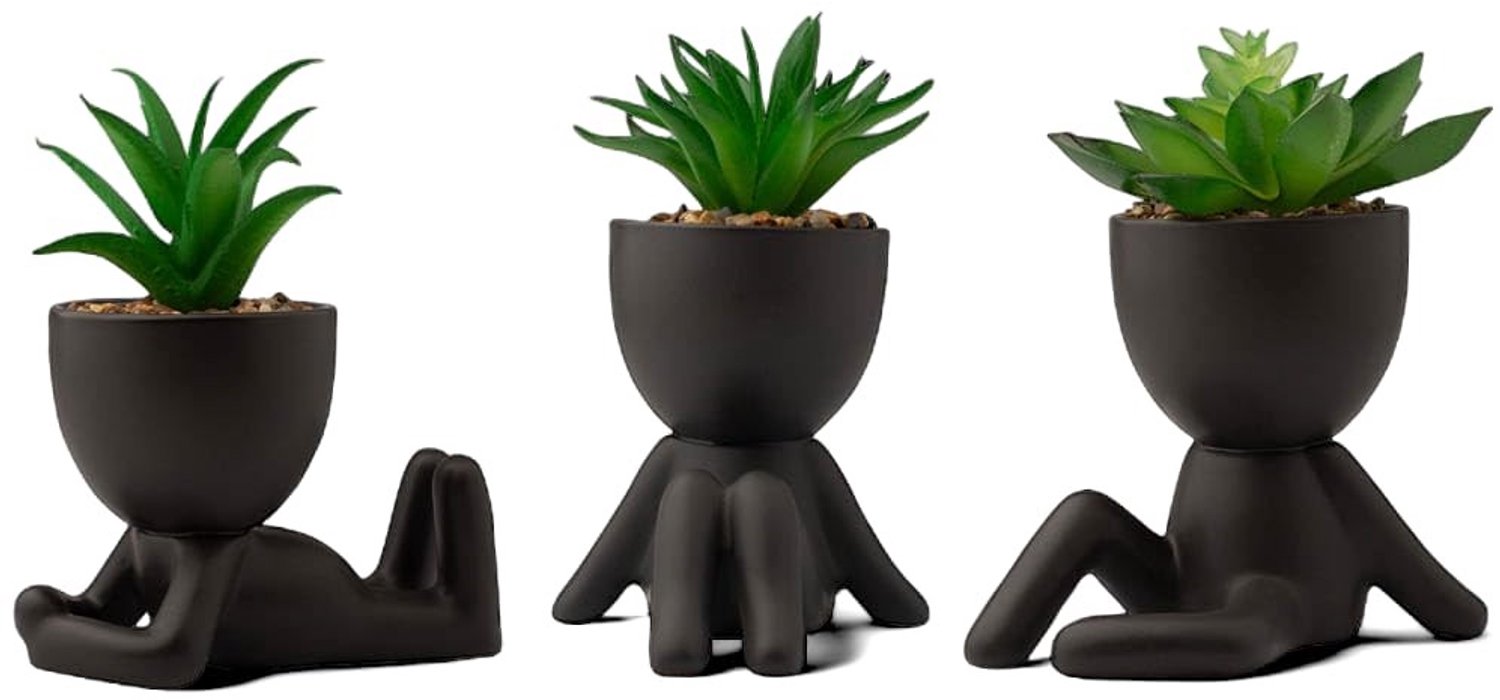 Set van 3 Porseleinen Succulenten in Potten