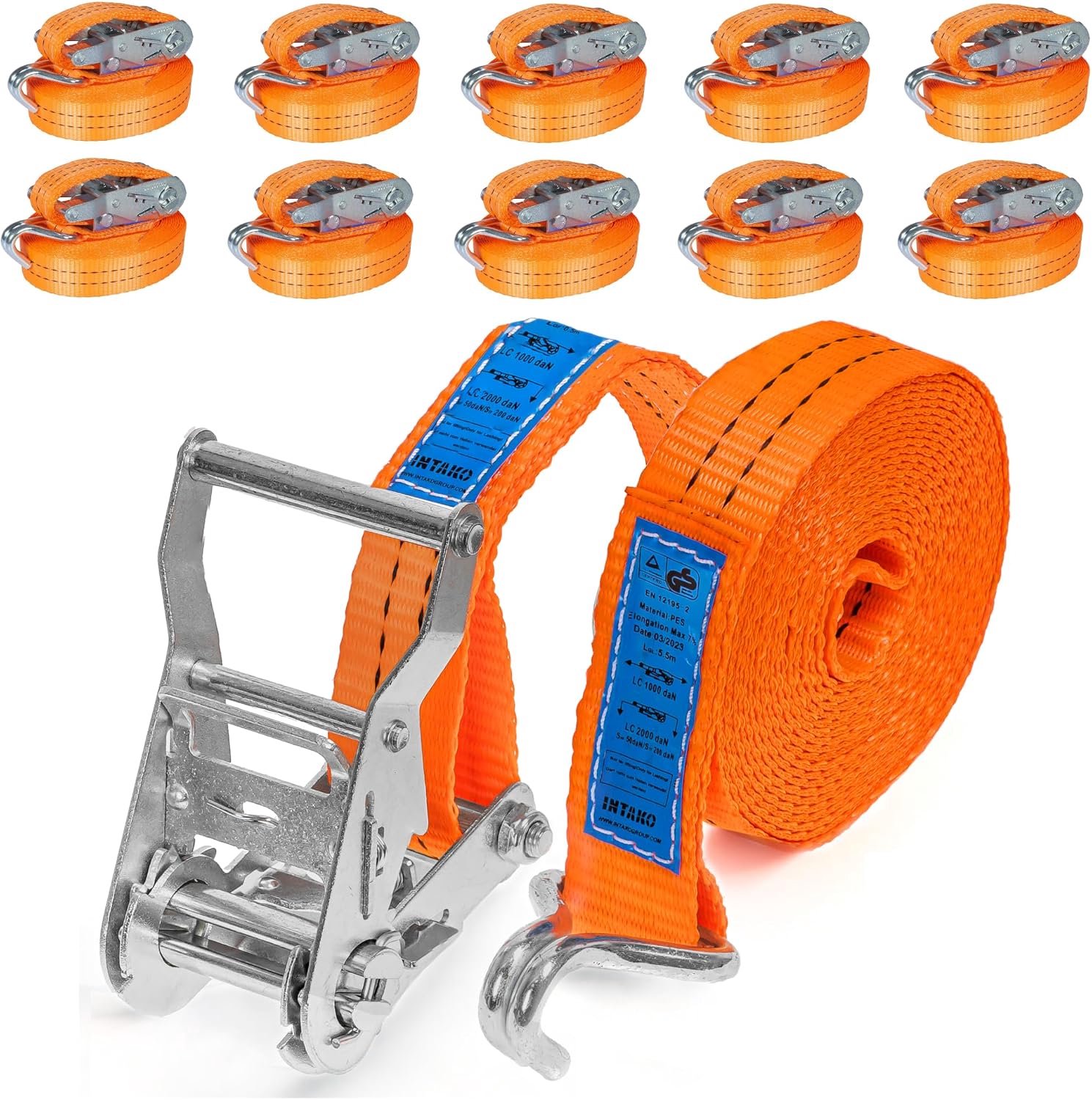 Spanbanden met Ratchet 2000kg 6m - Set van 10 - TÜV Goedgekeurd