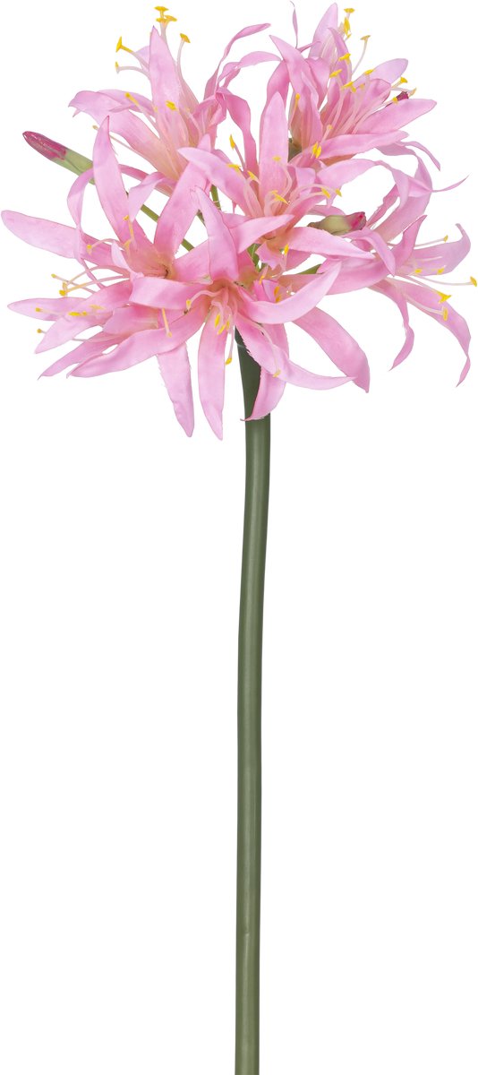 Easyplants | Kunstbloem Nerine 70 cm roze | Zijde | Nepbloemen | roze | Onderhoudsvrij | Kant-en-klaar