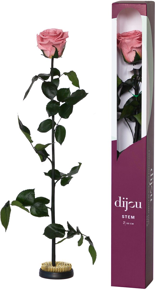 1x Dc pres.rozen dusty pink