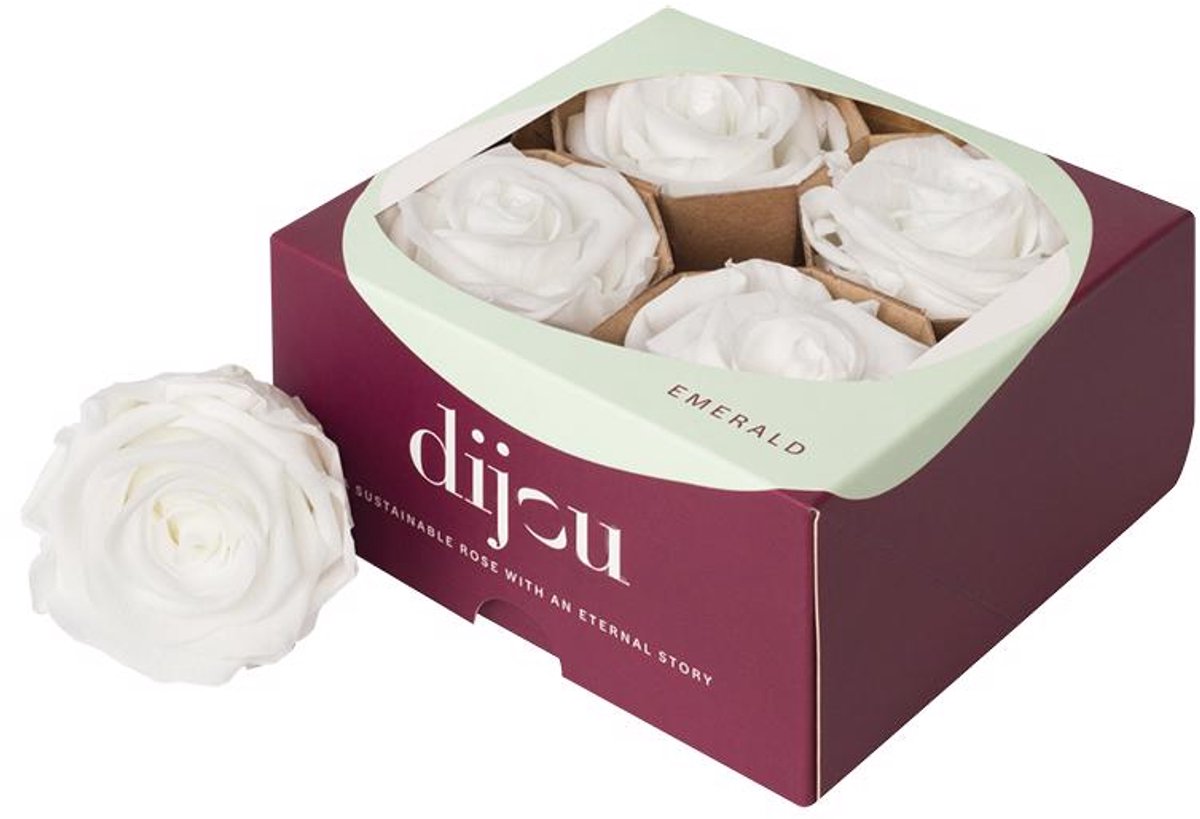 4x Rose preserved dc white 0601t