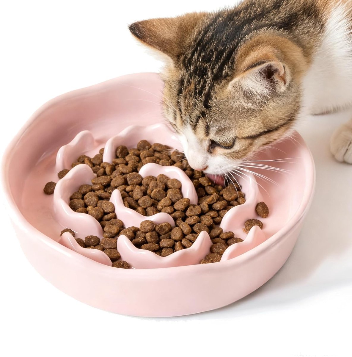 Feeding keramische hondenkom, anti-verstoppingskom, langzame kattenbak, langzame morsen voor katten en kleine honden (roze)