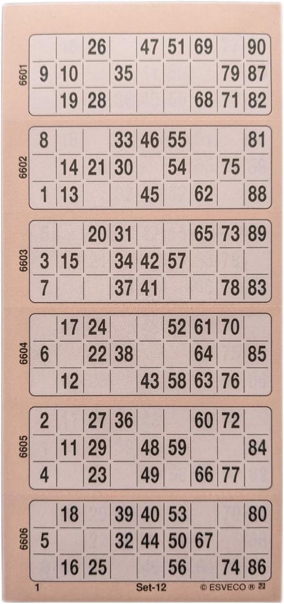 Bingoticketblok - Oranje - 600 Tickets - Systeem 15 van 90 - Voor Bingo-avonden