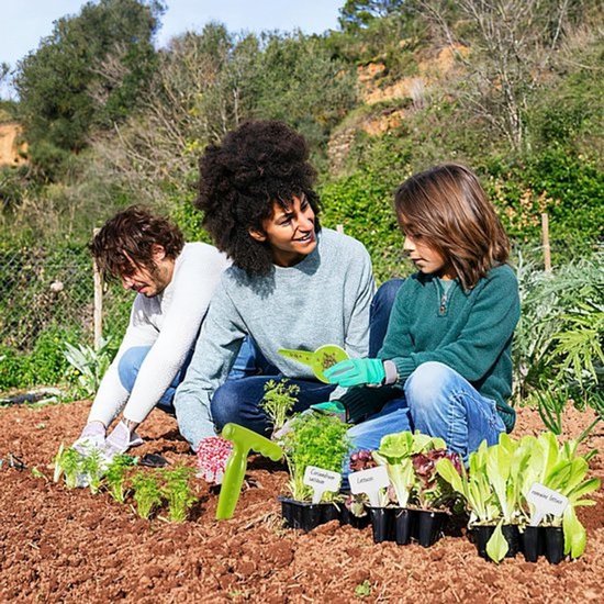 1 x Bollenplanter met punt, Tuinplantgereedschap voor bollen, Bollenplanter met maataanduiding, 1 Planter + 10 plantlabels - Ideaal gereedschap voor het planten van bloemen, uien en zaailingen van Merkloos	 — afbeelding 2