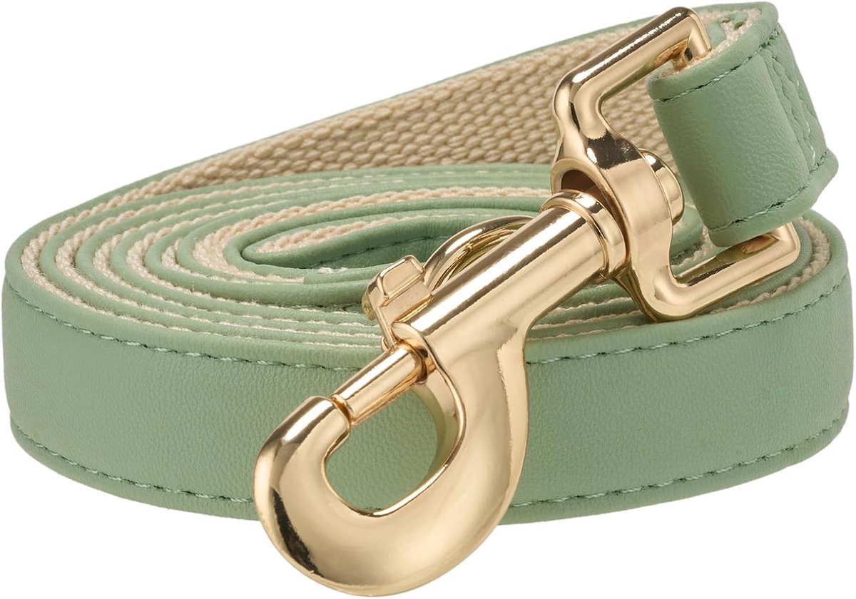 SnelShoppen - 150cm Hondenlijn van Zacht Katoen met PU Leer, Sage Groen, Comfortabele Plat Hondenriem voor Puppies, Kleine Honden, Wandelen, Hardlopen