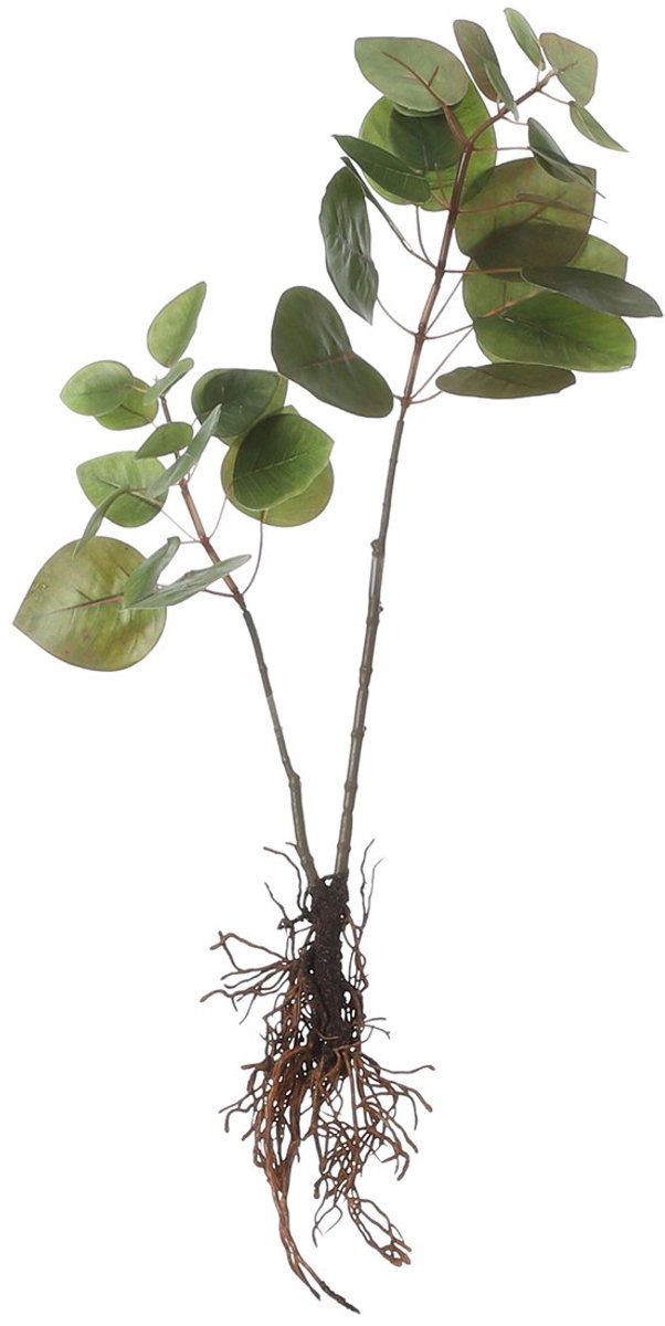 Mica Decorations Eucalyptus Kunstplant - L12 x B28 x H64 cm - Groen