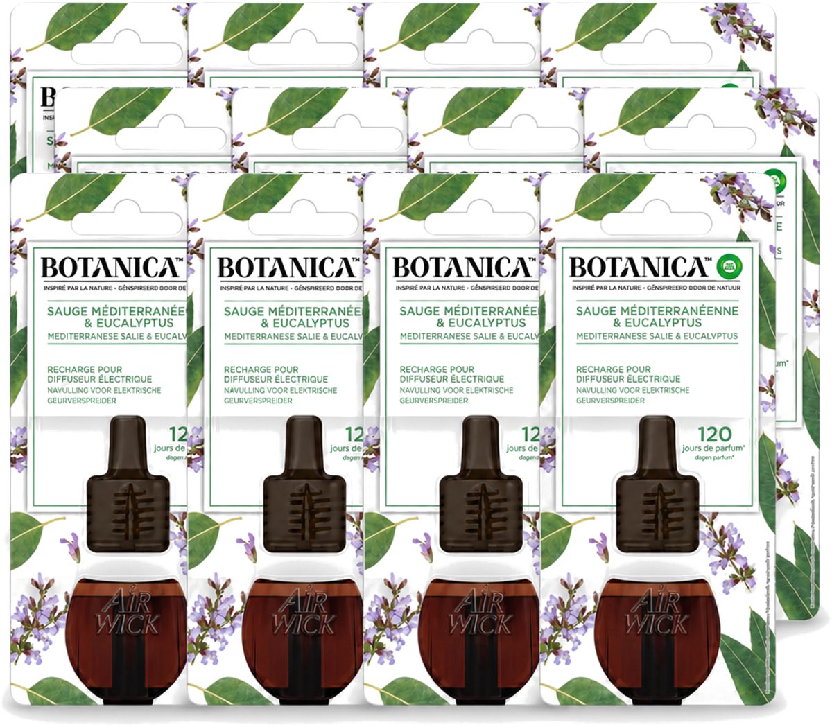 12 x Air Wick – Navulling – Botanica Mediterrane Salie & Eucalyptus – 19 ml - Voordeelverpakking - 12 stuks