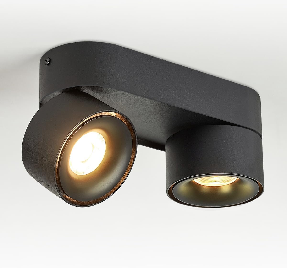 Led-plafondlamp, 2 x 12 W, draaibaar, plafondspots, draaibaar, plafondlamp, zwart, spot-rails, modern, voor hal, woonkamer, kantoor, winkel en meer, 3000 K