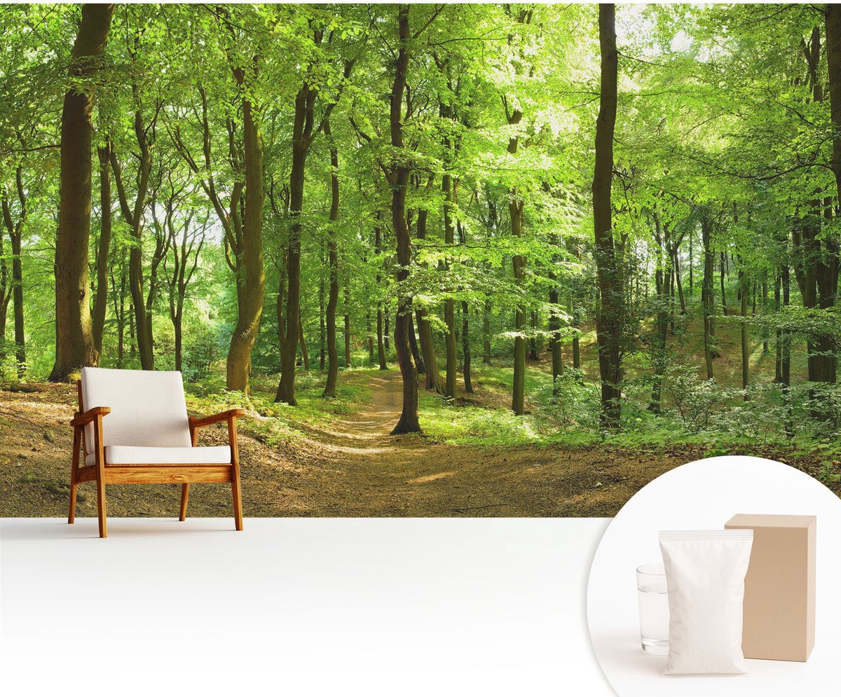 Wallfluent Fotobehang - Groente Vliesbehang - 416x254 cm - Natuurlijk Pad Fotobehang Vlies - Hal behang Landschappen - Muurschildering - Woonkamer behang