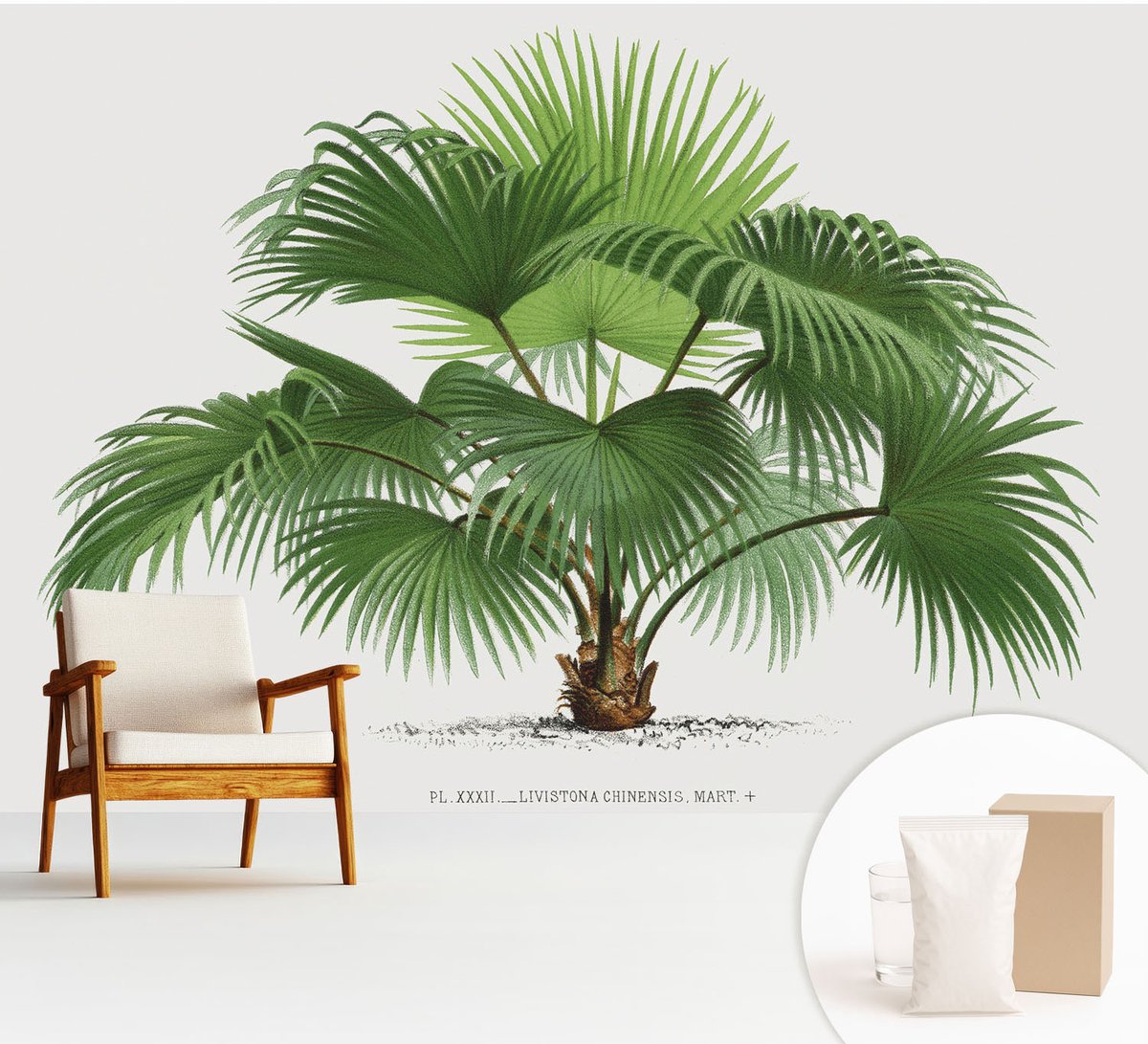 Wallfluent Fotobehang - Groente Vliesbehang - 312x219 cm - Exotische Palmboom Fotobehang Vlies - Hal behang Bloemen En Planten - Muurschildering - Woonkamer behang