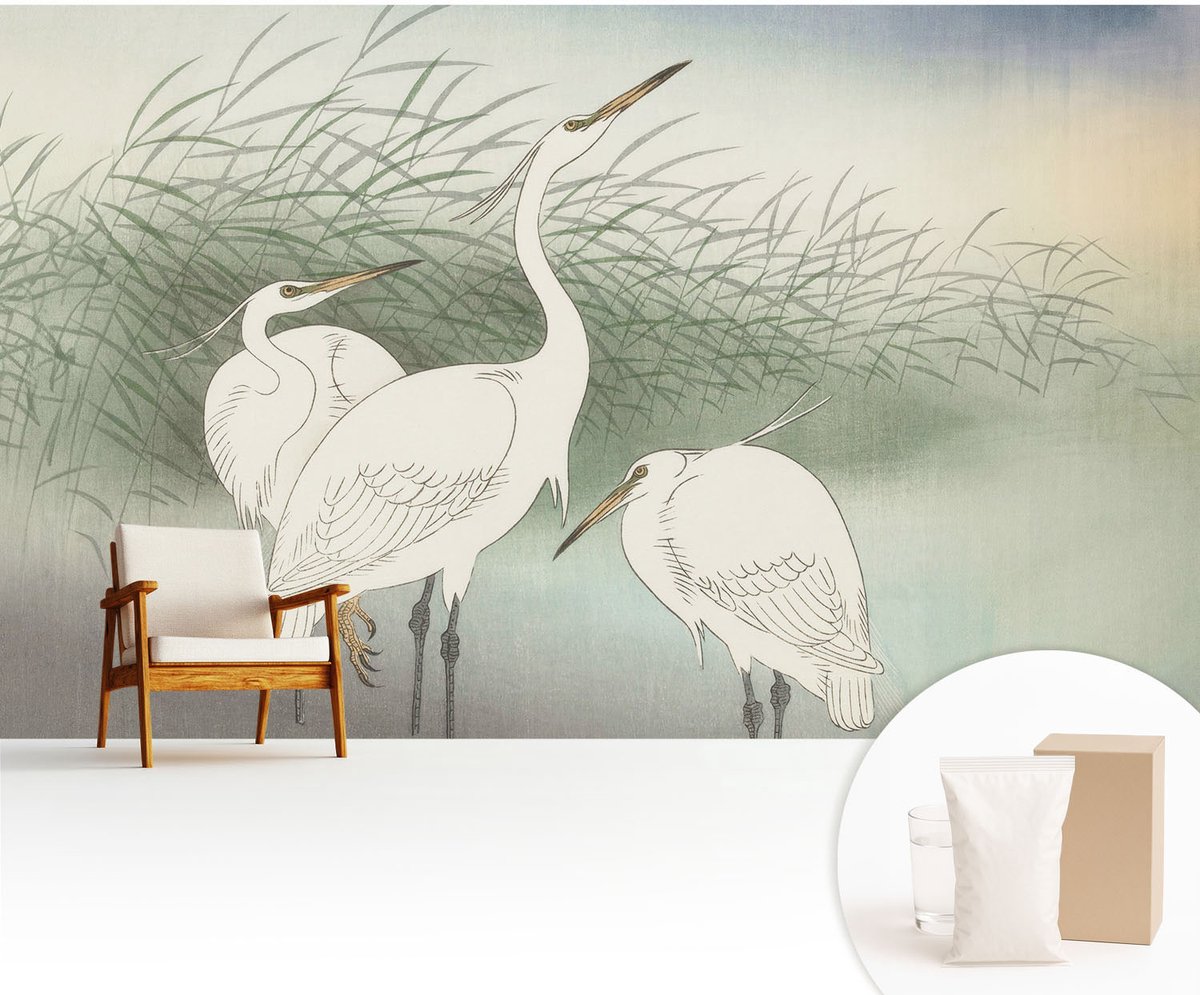 Wallfluent Fotobehang - Wit Vliesbehang - 416x254 cm - Reigers In Het Gras Fotobehang Vlies - Hal behang Dieren - Muurschildering - Hal behang