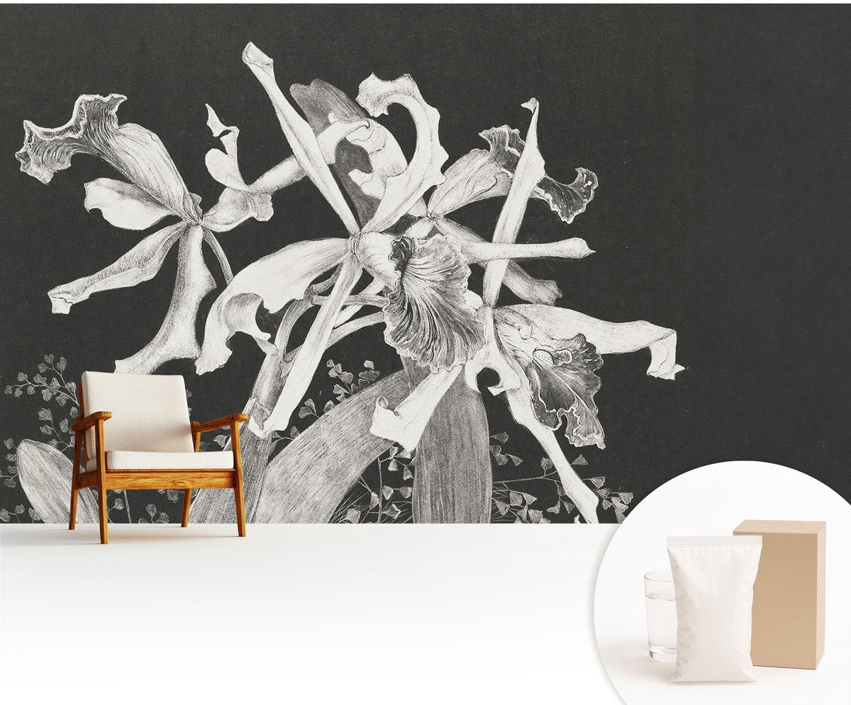Wallfluent Fotobehang - Zwart Vliesbehang - 416x254 cm - Orchidee Illustratie Muurschildering - Gang behang Bloemen En Planten - Fotobehang Vlies - Slaapkamer behang