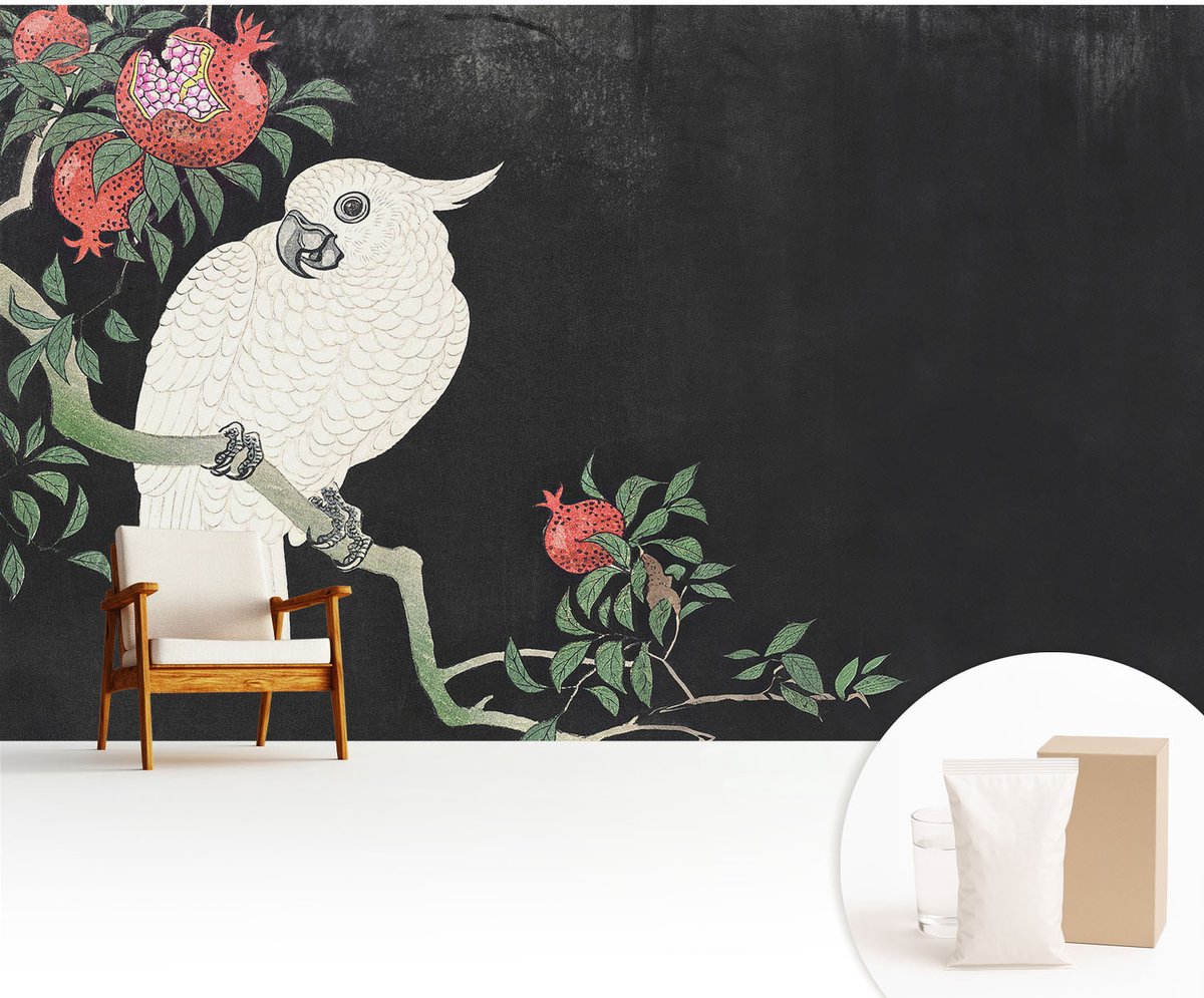 Wallfluent Fotobehang - Zwart Vliesbehang - 416x254 cm - Granaatappelpapegaai Muurschildering - Slaapkamer behang Dieren - Fotobehang Vlies - Slaapkamer behang