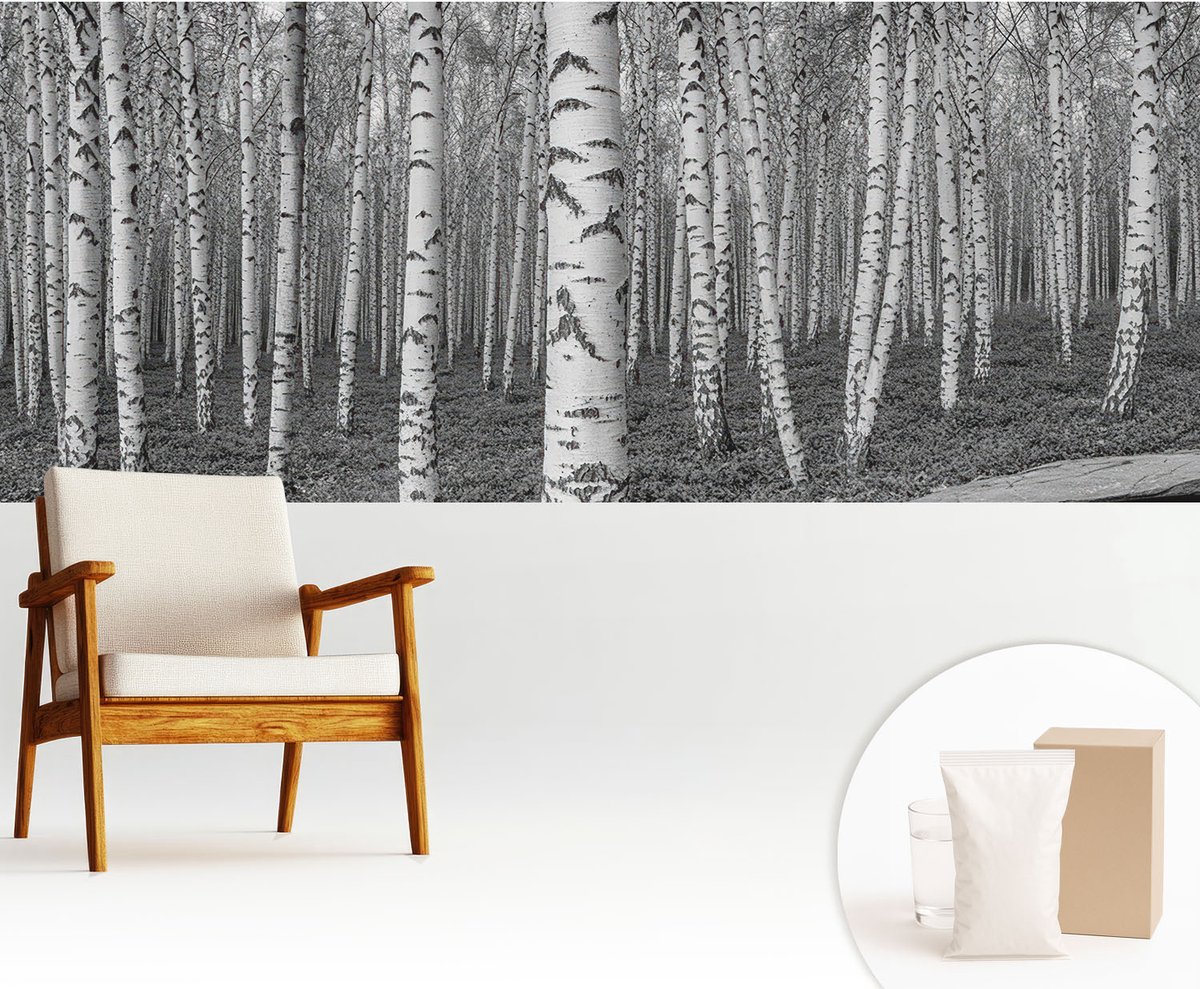 Wallfluent Fotobehang - Zwart-Wit Vliesbehang - 250x104 cm - Berkenbos Muurschildering - Slaapkamer behang Bloemen En Planten - Fotobehang Vlies - Slaapkamer behang