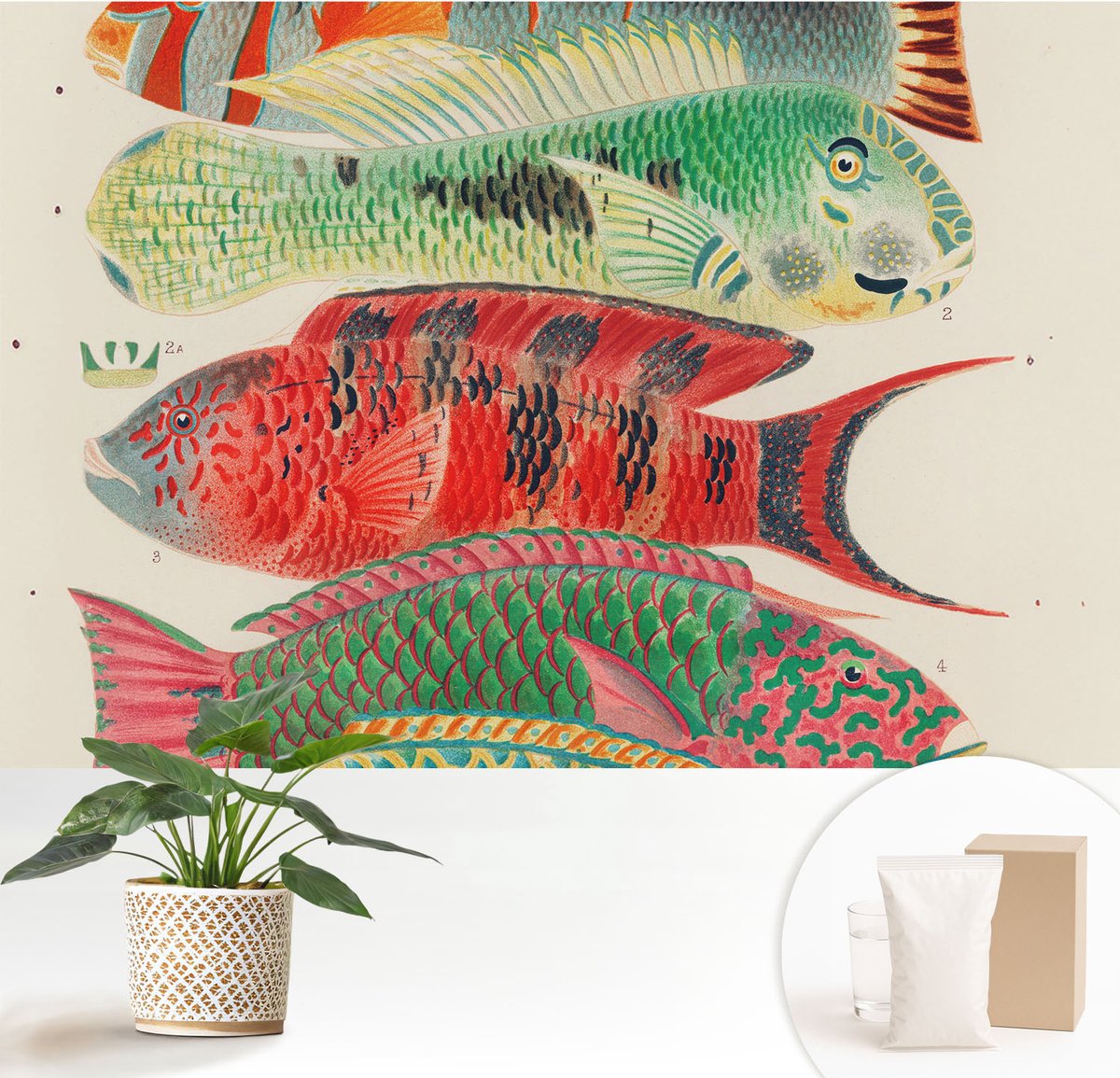 Wallfluent Fotobehang - Groente Vliesbehang - 152x104 cm - Exotische Vissen Muurschildering - Slaapkamer behang Dieren - Fotobehang Vlies - Gang behang