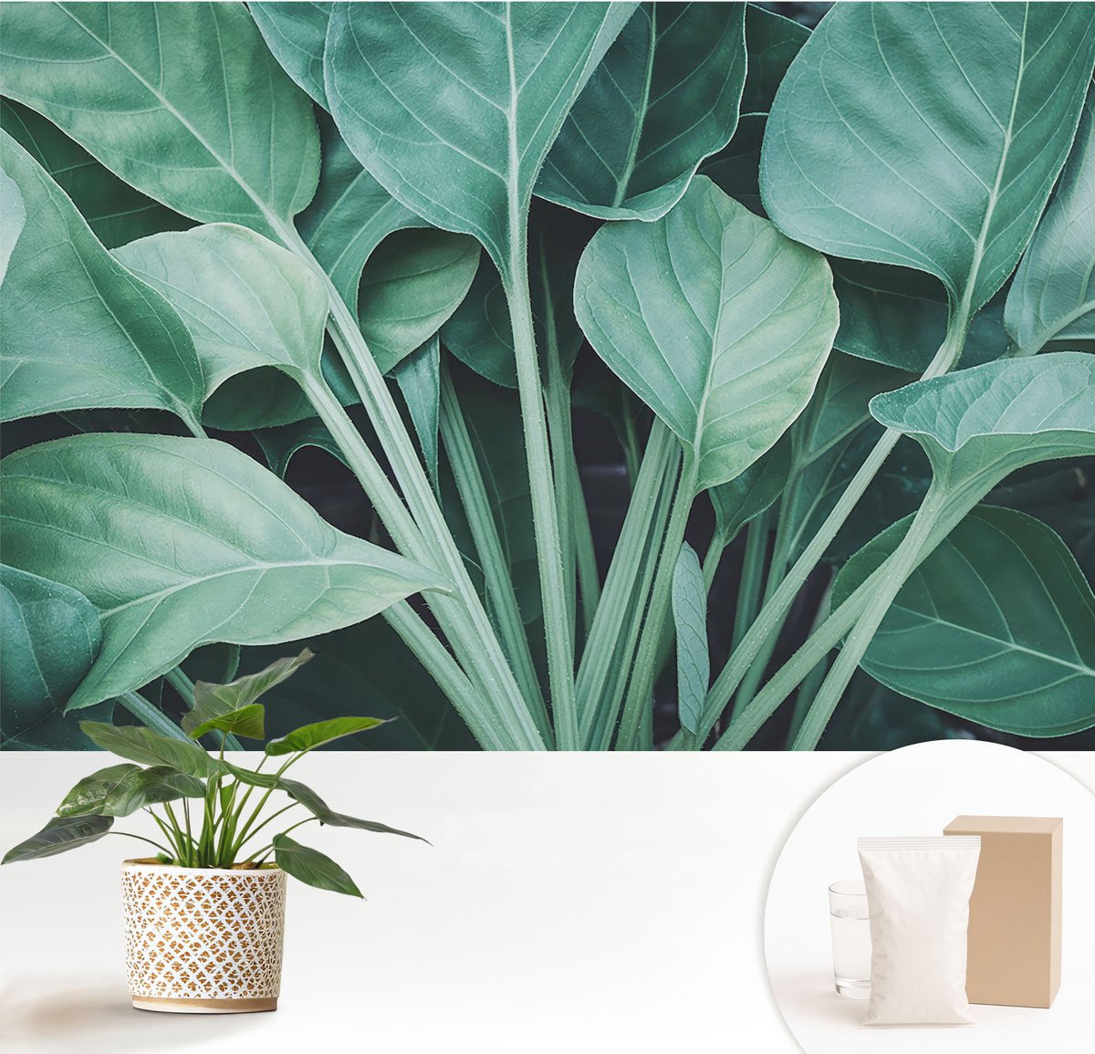 Wallfluent Fotobehang - Groente Vliesbehang - 152x104 cm - Groene Natuur Fotobehang Vlies - Woonkamer behang Bloemen En Planten - Muurschildering - Woonkamer behang