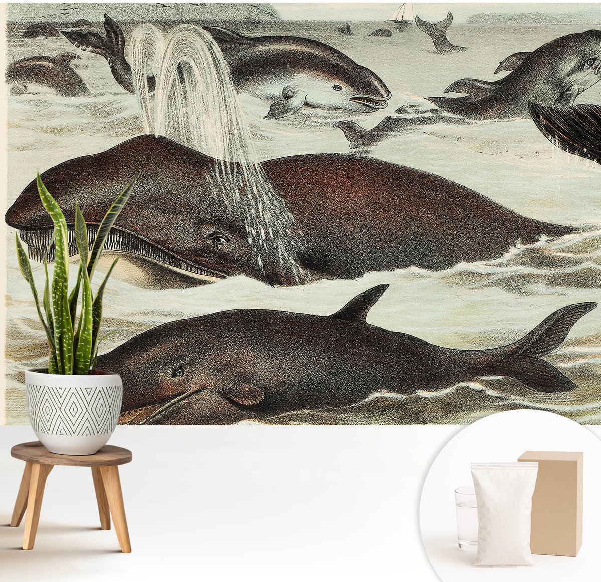 Wallfluent Fotobehang - Bruin Vliesbehang - 208x146 cm - Zeedieren Fotobehang Vlies - Hal behang Dieren - Muurschildering - Hal behang