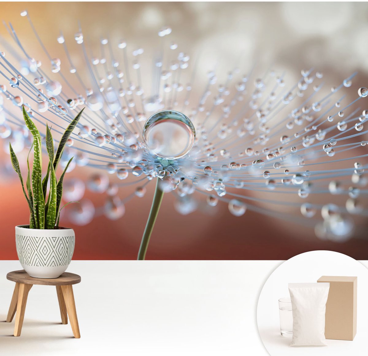 Wallfluent Fotobehang - Wit Vliesbehang - 208x146 cm - Een Druppel Op Een Paardenbloem Fotobehang Vlies - Woonkamer behang Bloemen En Planten - Muurschildering - Woonkamer behang