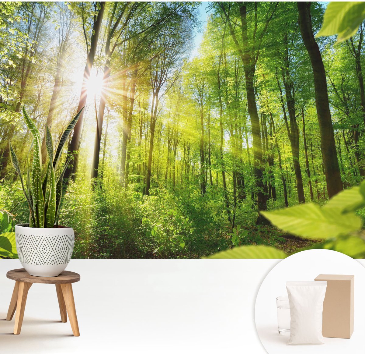 Wallfluent Fotobehang - Groente Vliesbehang - 208x146 cm - Boslicht Muurschildering - Gang behang Landschappen - Fotobehang Vlies - Slaapkamer behang