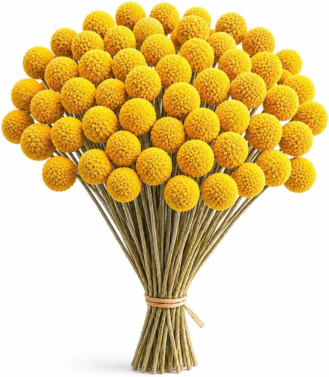 Gedroogde bloemen, gedroogde Craspedia gedroogde bloemen, natuurlijke gedroogde bloemen van Craspedia Globosa geel voor bloemstukken, decoraties met Craspedia (50 stuks)
