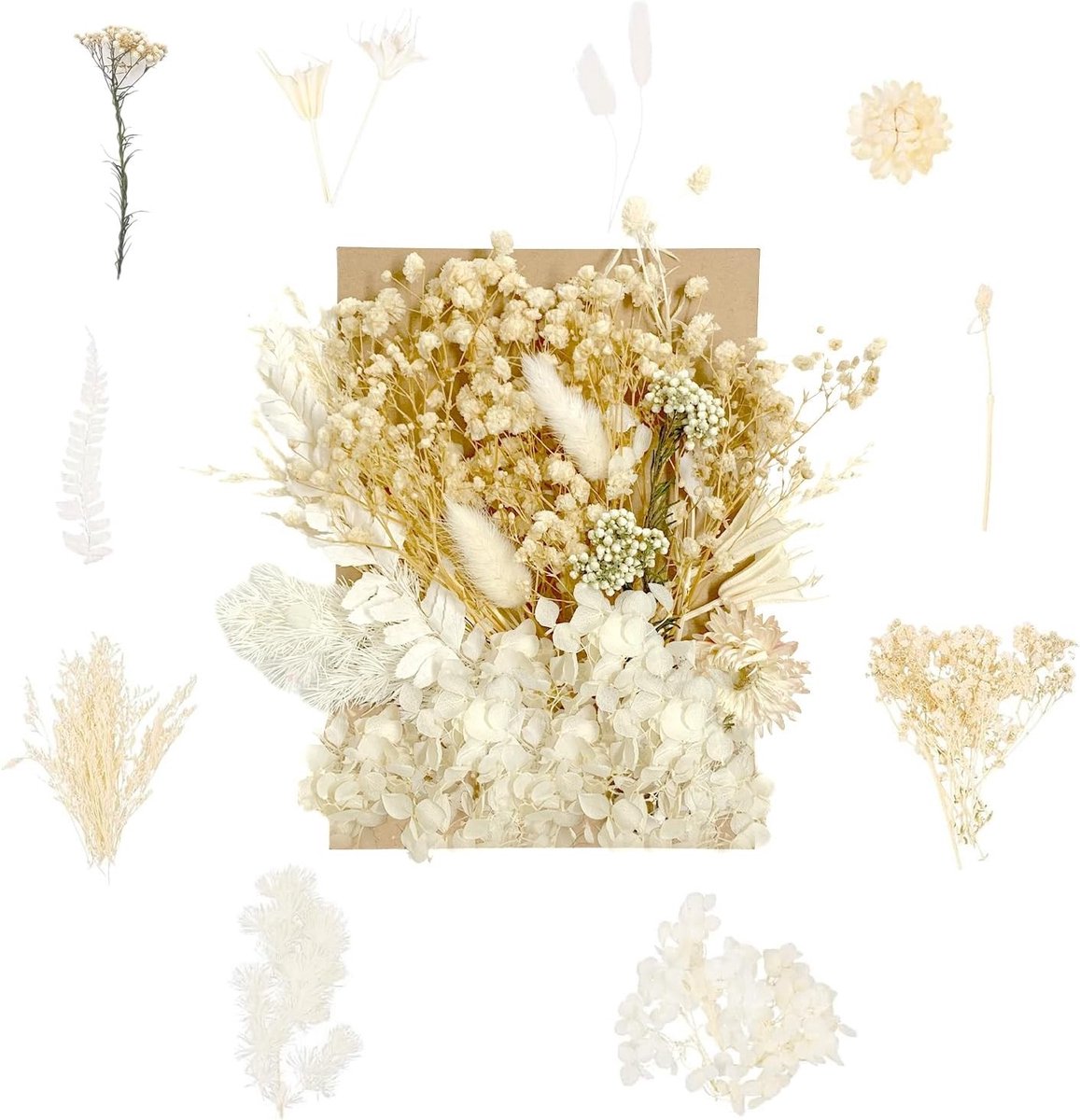 Drogen Bloemen voor DIY Kunstprojecten, Resin Crafting, Scrapbooking, Sieraden Maken, Kaarten en Kaarsdecoratie, Creatieve Cadeaus
