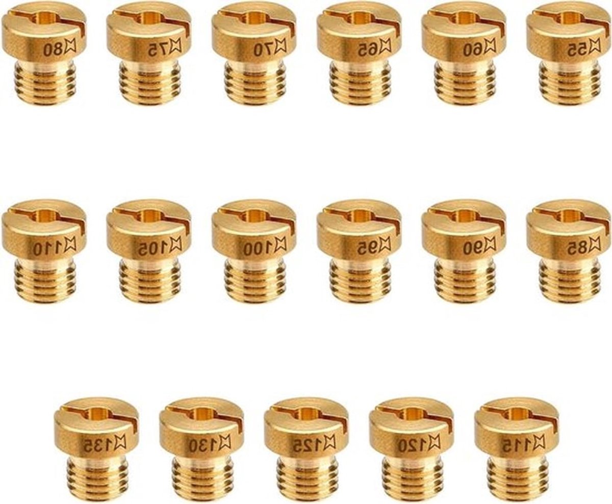 Carburateursproeiers 17 stuks set M6 metaal gasgrill scooter motorfiets